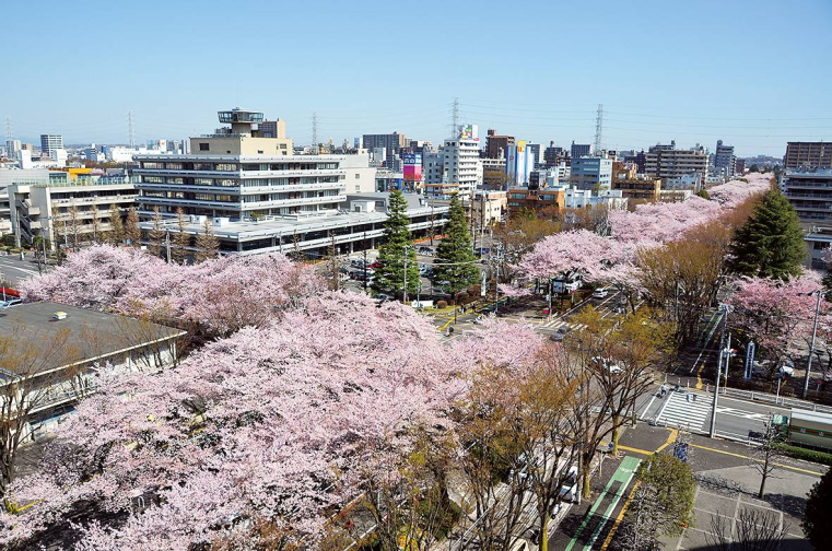 相模原市