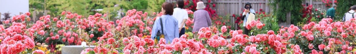 綾瀬市