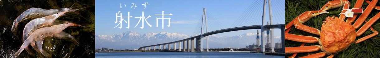 射水市