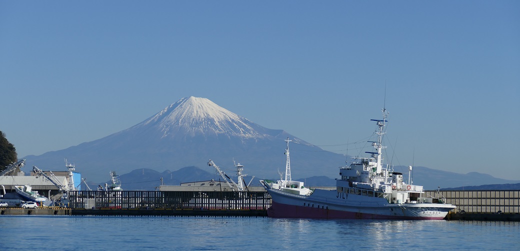 a10-507 メバチまぐろのみ使用！！ネギトロ（80g×12袋） 59701 - 静岡県焼津市 | au PAY ふるさと納税