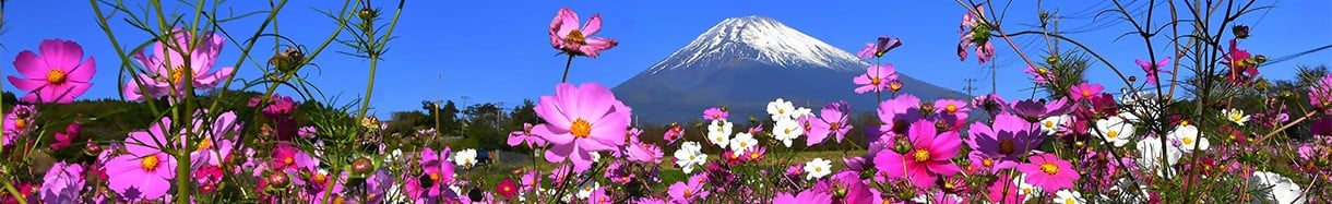裾野市