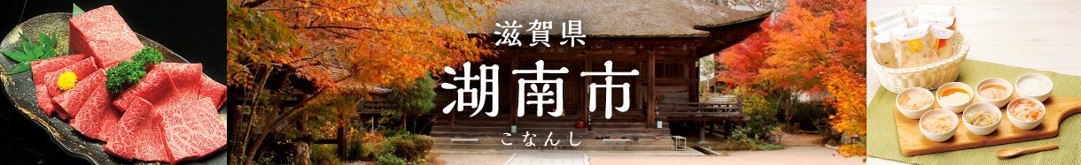 湖南市