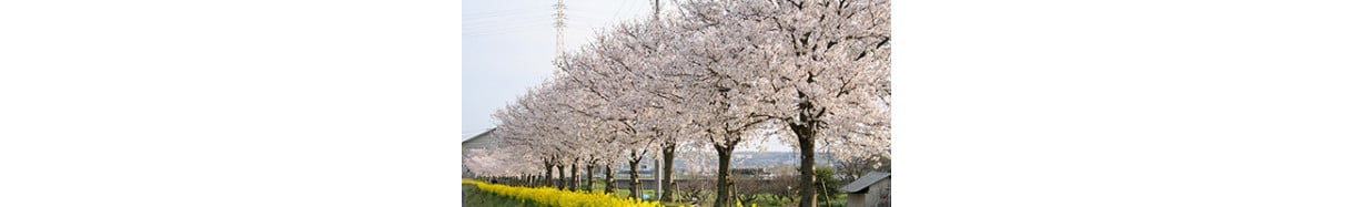 木津川市