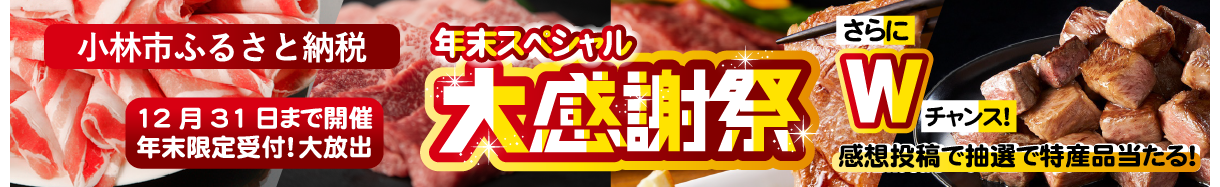 小林市
