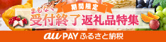 au PAY ふるさと納税