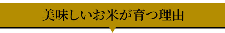 ふるさと納税の返礼品画像