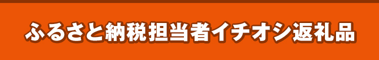 au Pay ふるさと納税イチオシ返礼品