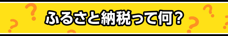 ふるさと納税って何?