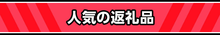 人気の返礼品