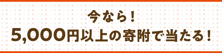 今なら!5,000円以上の寄付で当たる!