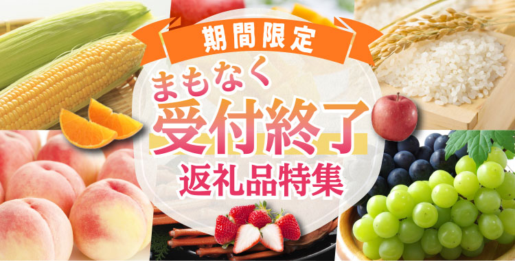 Wowma!ふるさと納税 レビュー投稿キャンペーン Wowma!クーポン1,000円分