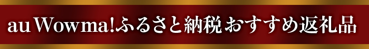 au Wowma!ふるさと納税おすすめ返礼品