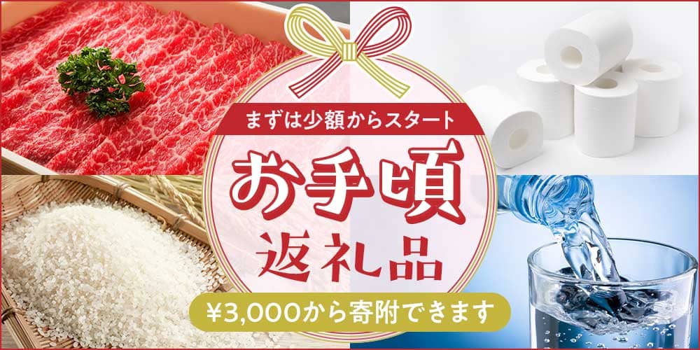 まずは少額からスタート お手頃返礼品 ¥3,000から寄附できます