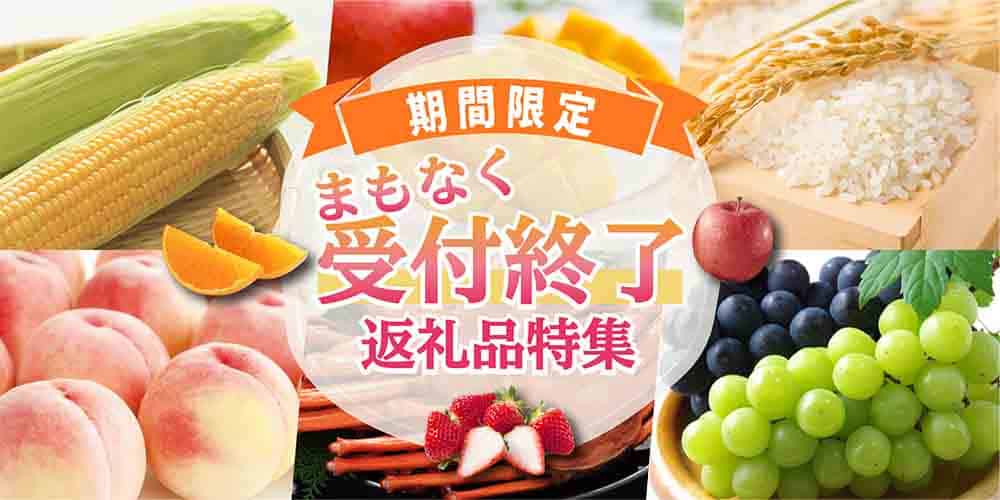 期間限定まもなく受付終了返礼品特集