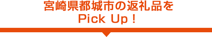宮崎県都城市の返礼品をPick Up!