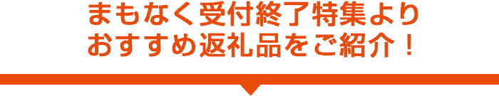 まもなく受付終了特集より おすすめ返礼品をご紹介！