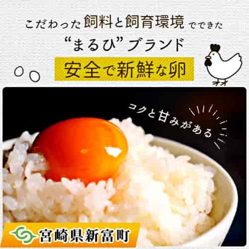 ＜児湯養鶏自慢の卵＞ネッカリッチ赤たまご 「児湯一番」２０個