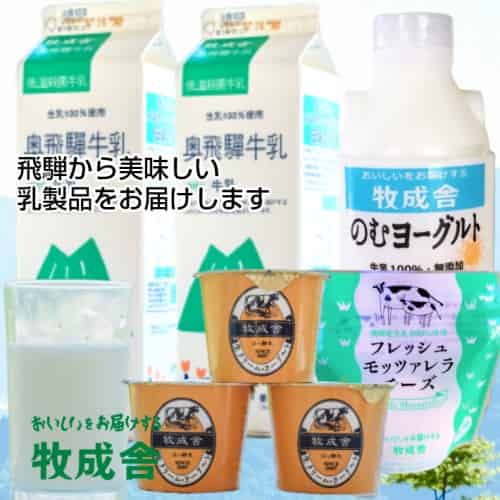 ＜牧成舎＞飛騨の新鮮な乳製品  牛乳 のむヨーグルト ヨーグルト チーズ 期間限定セット