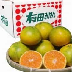 ”和歌山産 有田みかん(極早生) 10kg【家庭用】 [2020年10月～発送]