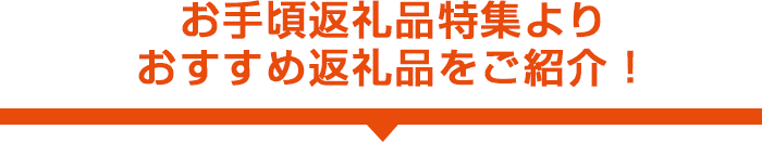 お手頃返礼品特集より おすすめ返礼品をご紹介！