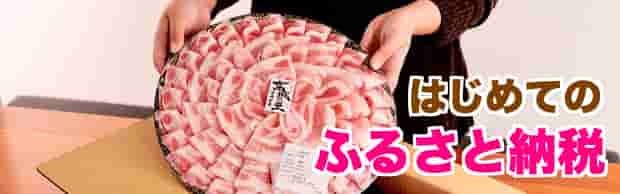 はじめてのふるさと納税
