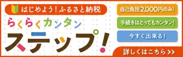 はじめよう！ふるさと納税 らくらくカンタンステップ！ 自己負担2,000円のみ！ ／ 手続きはとってもカンタン！ ／ 今すぐ出来る！