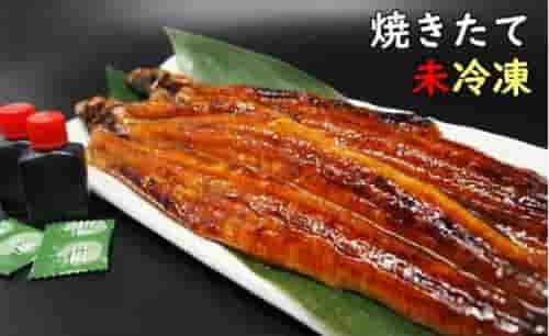 国産活うなぎの蒲焼き（2尾）