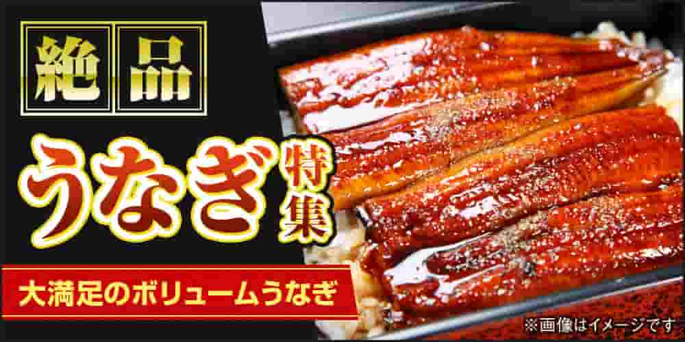 絶品うなぎ特集 大満足のボリュームうなぎ