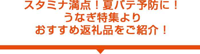 スタミナ満点！夏バテ予防に！ うなぎ特集より おすすめ返礼品をご紹介！