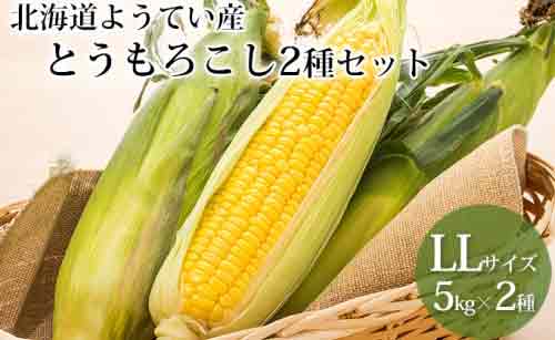 北海道ようてい産スイートコーン！2種食べ比べ(LL)10kg