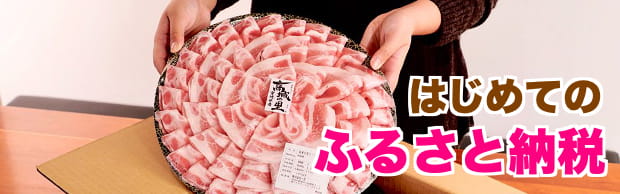はじめてのふるさと納税