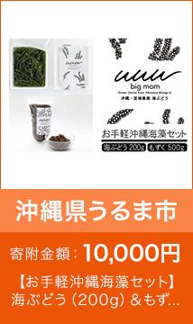 【お手軽沖縄海藻セット】海ぶどう（200g）＆もずく（500g）