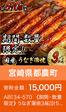 《期間・数量限定》うなぎ蒲焼3尾(計570g以上)