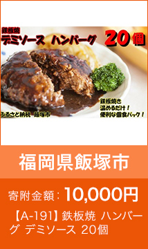 鉄板焼 ハンバーグ デミソース 20個
