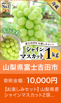山梨県産 シャインマスカット2房 (1.0kg以上)