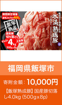【飯塚熟成豚】国産豚切落し4.0kg（500gｘ8p）