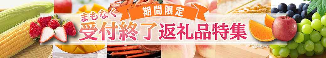 まもなく受付終了返礼品特集