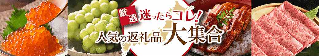 厳選迷ったらコレ！人気の返礼品
大集合
