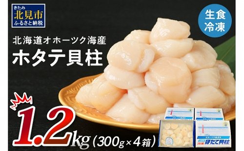 北海道北見市
 【先行予約】北海道オホーツク海産ホタテ貝柱1.2kg生食用
