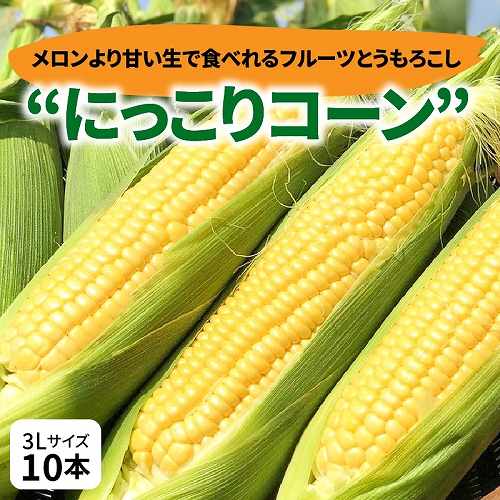 愛知県碧南市
 【先行予約 2023年発送】メロンより甘い生で食べれるフルーツとうもろこし「にっこりコーン」3Lサイズ10本