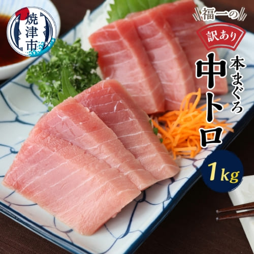 静岡県焼津市
 訳あり マグロ 中トロ 刺身 まぐろ 本マグロ 約1kg