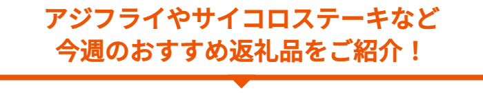 アジフライやサイコロステーキなど
今週のおすすめ返礼品をご紹介！