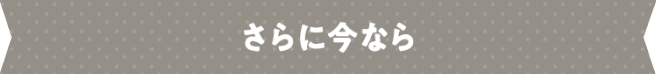 さらに今なら