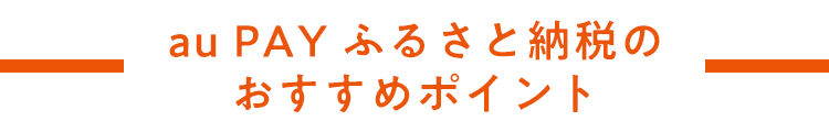 au PAY ふるさと納税の おすすめポイント