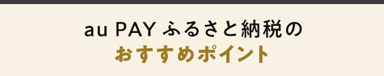 au PAY ふるさと納税の おすすめポイント