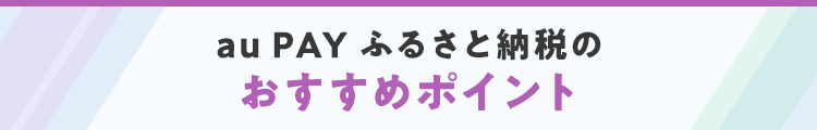 au PAY ふるさと納税のおすすめポイント