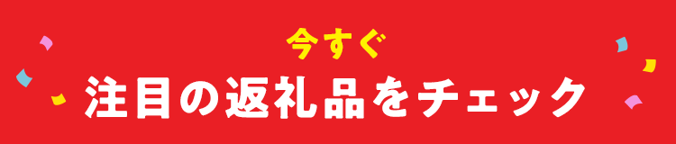 今すぐ注目の返礼品をチェック