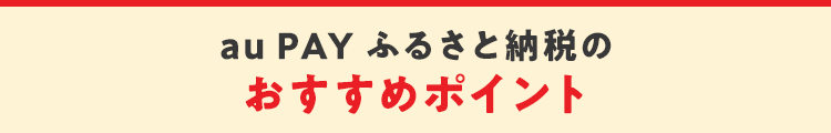 au PAY ふるさと納税のおすすめポイント