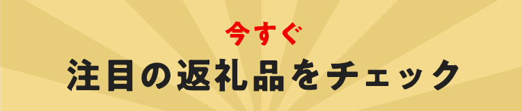 今すぐ注目の返礼品をチェック