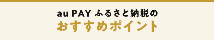 au PAY ふるさと納税のおすすめポイント